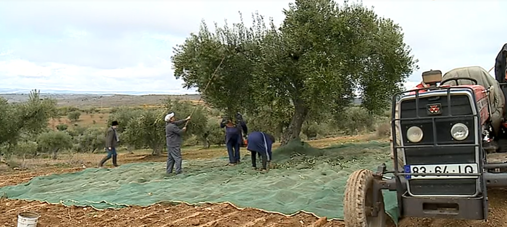 Potencialidades do Concelho de Pinhel