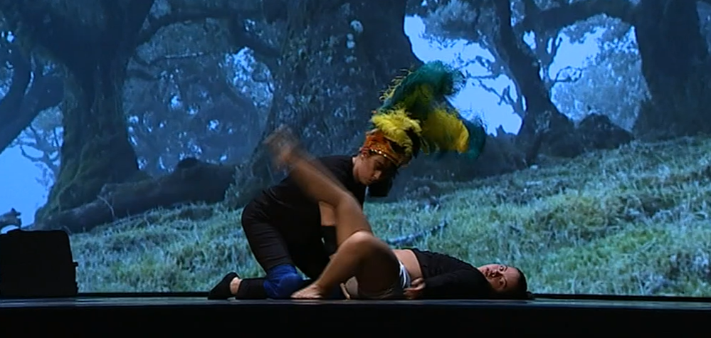 Grupo Dançando com a Diferença