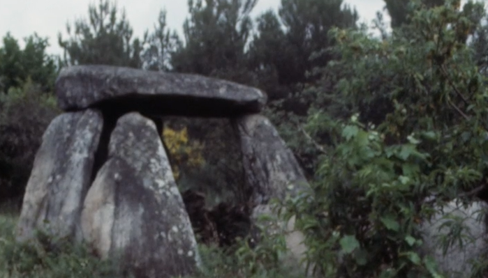 Nelas, Mangualde e Viseu