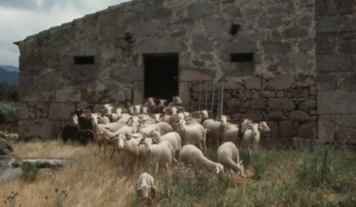 Seia, Gouveia e Manteigas