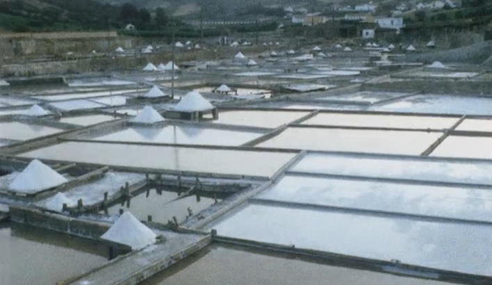 Nazaré, Alcobaça e Porto de Mós