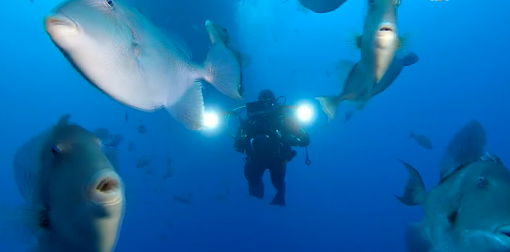 Expedição Fundação Oceano Azul