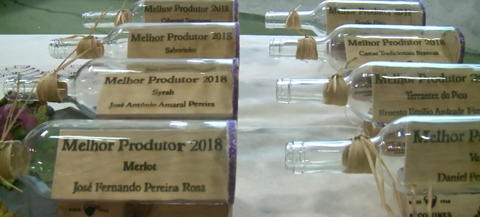 Festa da Vinha e do Vinho