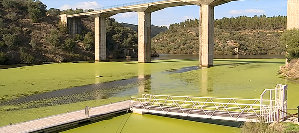 Eutrofização no Rio Ponsul