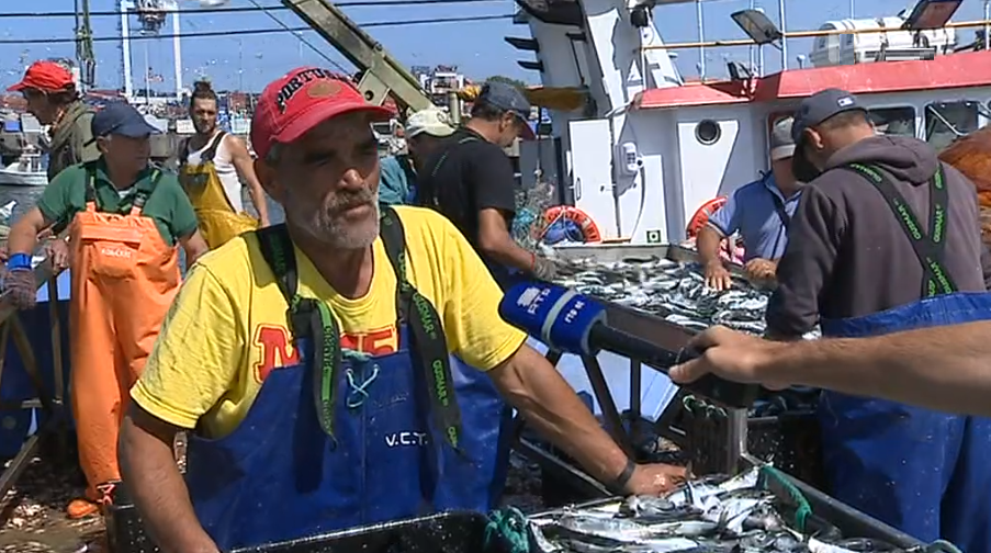Pesca da sardinha em Portugal