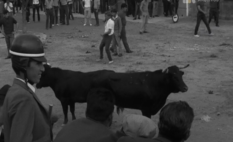 Acidente na Moita do Ribatejo