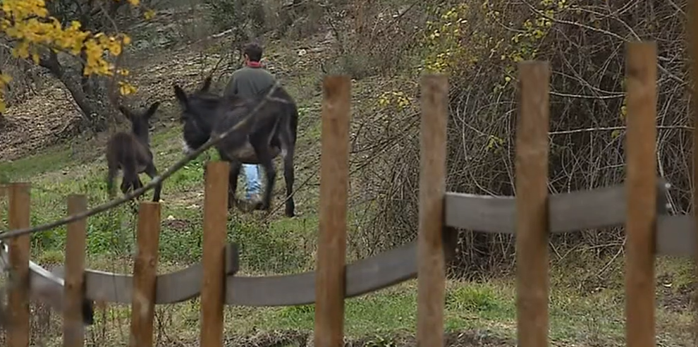 Turismo Rural em Miranda do Douro