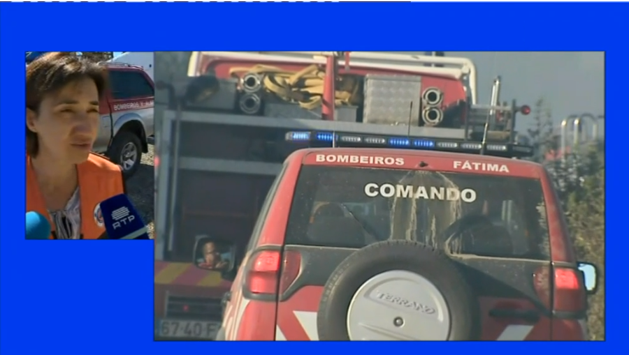 Incêndio florestal em Abrantes