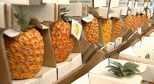 Cultura do ananás nos Açores