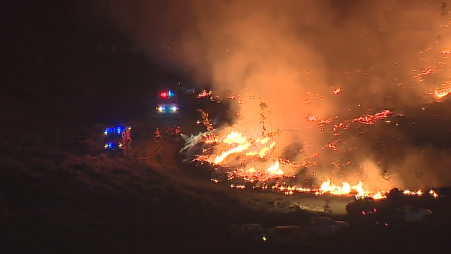 Incêndio florestal em Abrantes