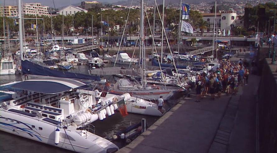 Negócio da observação de cetáceos na Ilha da Madeira