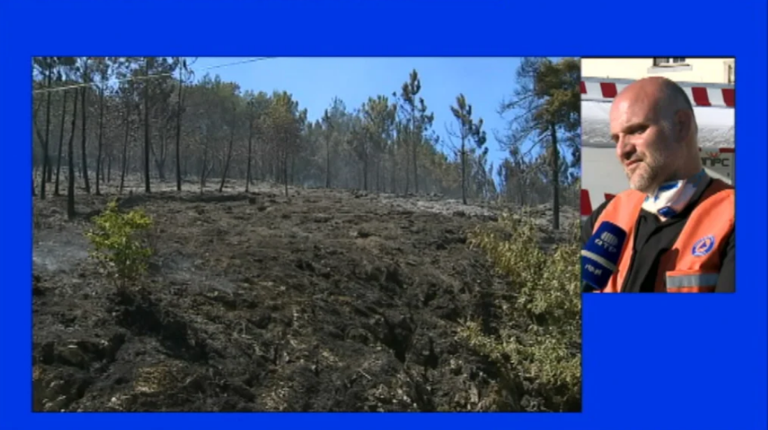 Incêndio florestal no Fundão