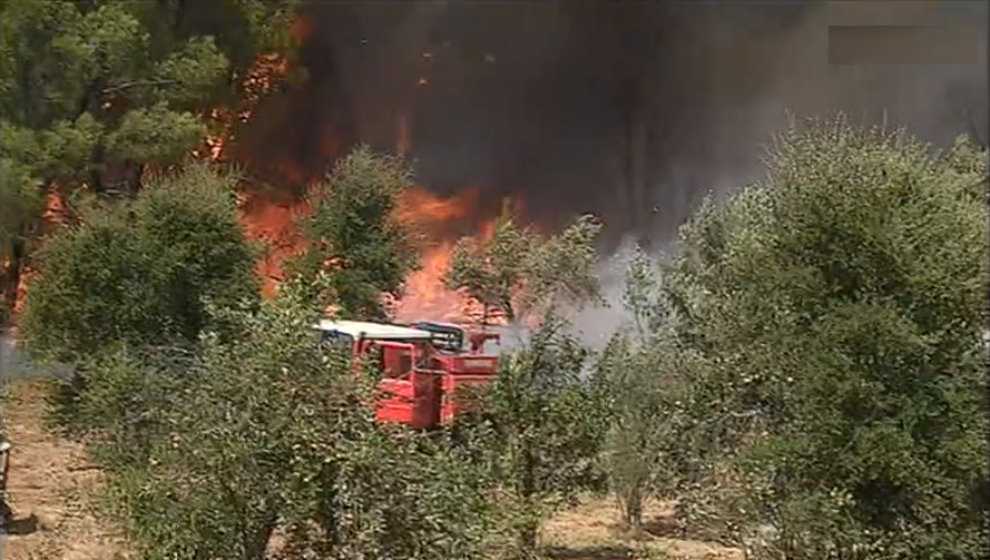 Incêndio florestal em Mação