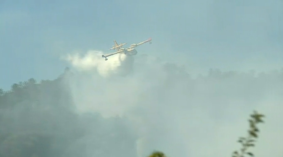 Incêndio florestal no Fundão