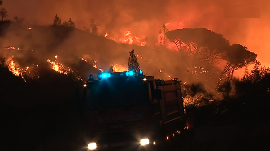 Incêndio florestal em Abrantes