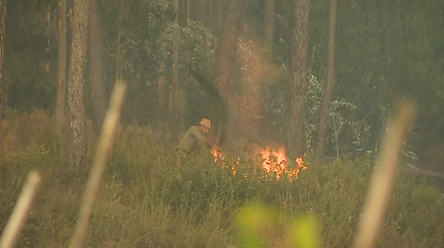 Incêndio florestal em Coimbra