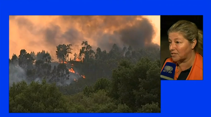 Incêndio florestal em Tomar
