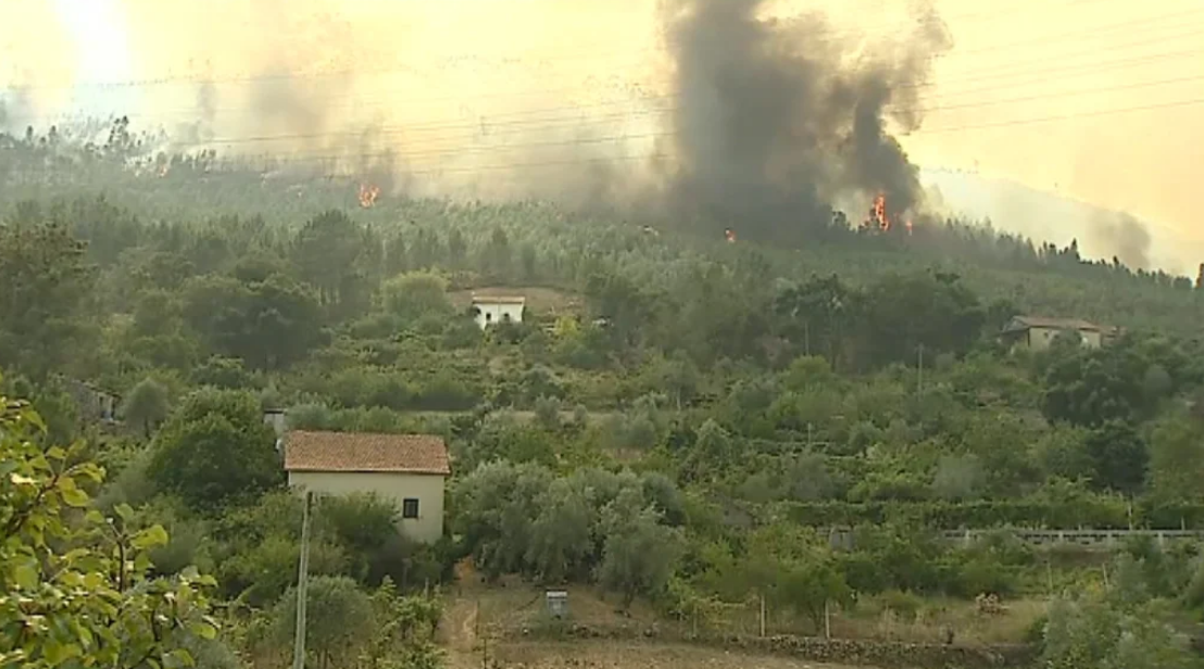 Incêndio florestal em Ferreira do Zêzere