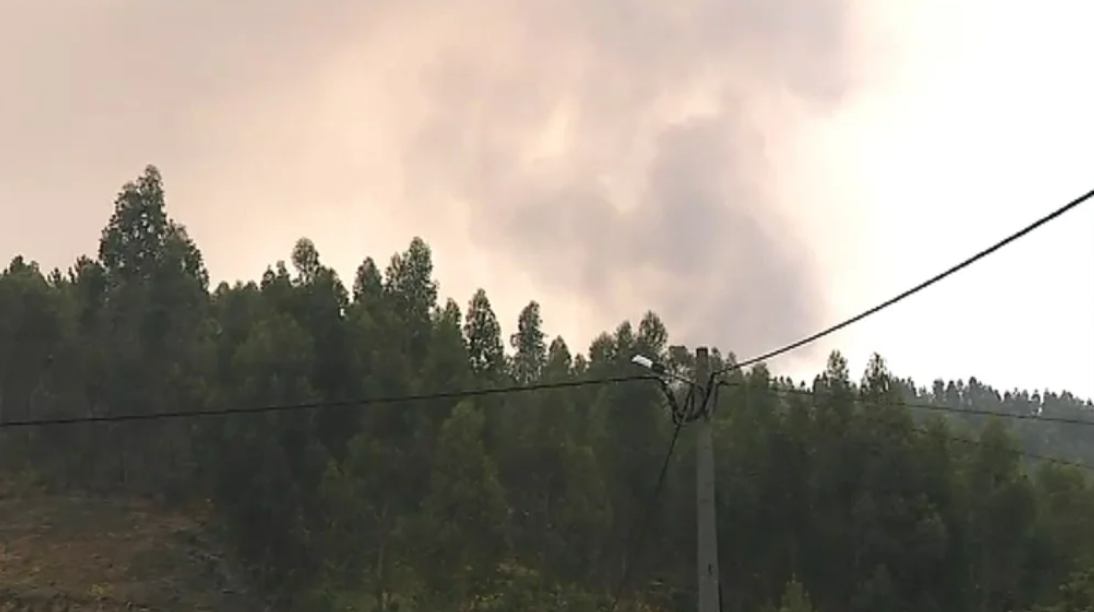Incêndio florestal em Ferreira do Zêzere