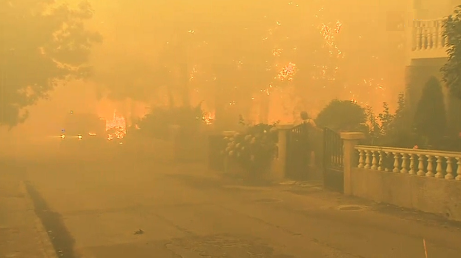 Incêndio florestal em Parada do Pinhão