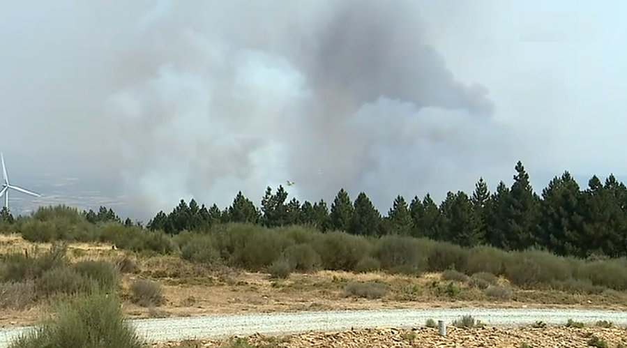 Incêndio florestal em Macedo de Cavaleiros