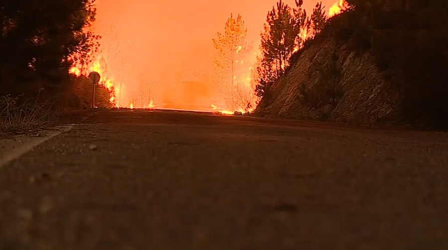 Incêndio florestal em Vila de Rei