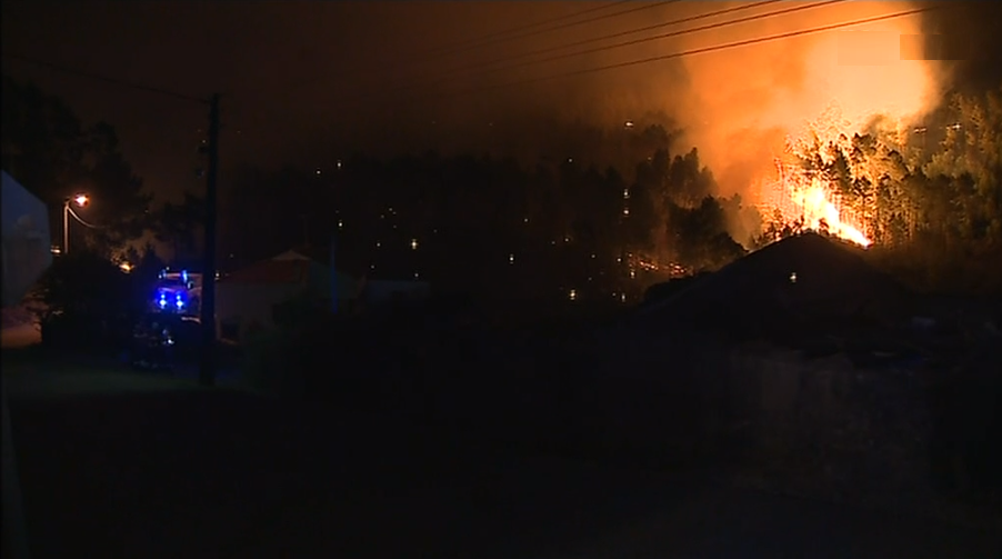 Incêndio florestal no Sardoal