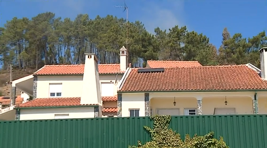 Incêndio florestal no Sardoal