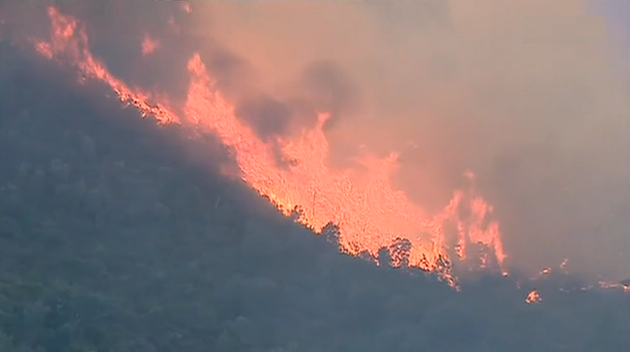 Incêndio florestal em Gavião