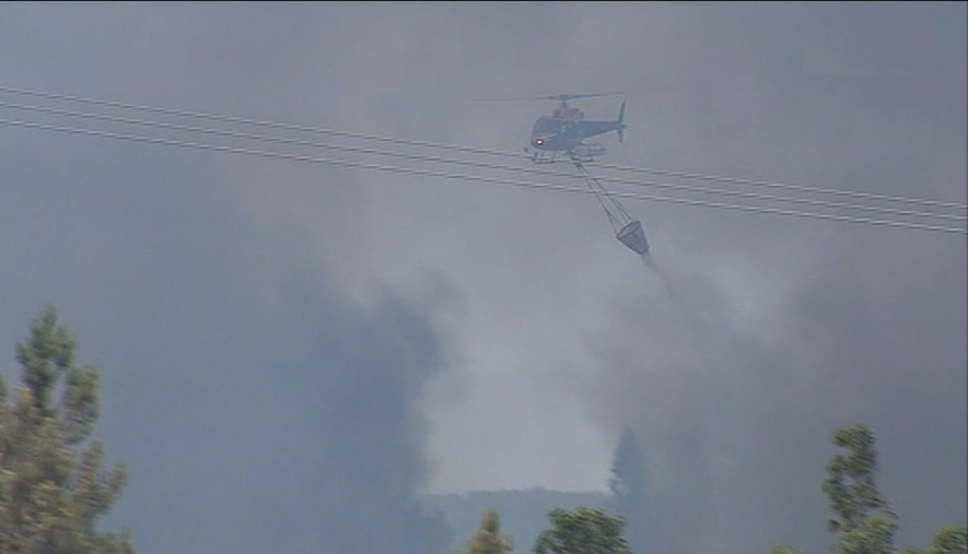 Incêndio florestal em Mação