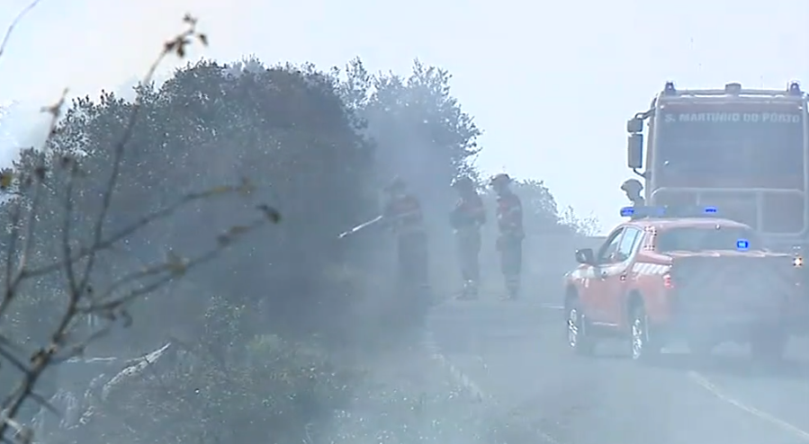 Incêndio florestal em Porto de Mós