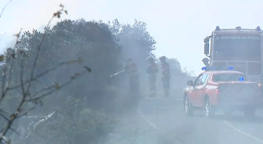 Incêndio florestal em Porto de Mós