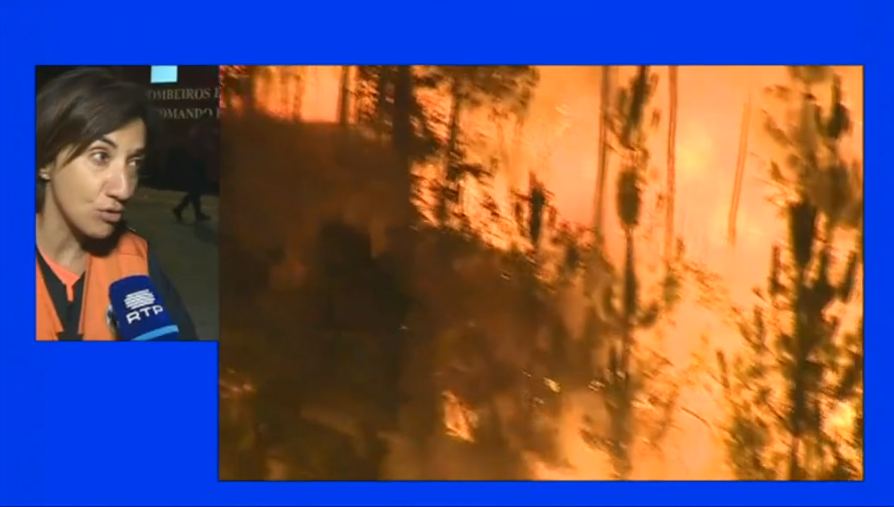 Incêndio florestal em Abrantes