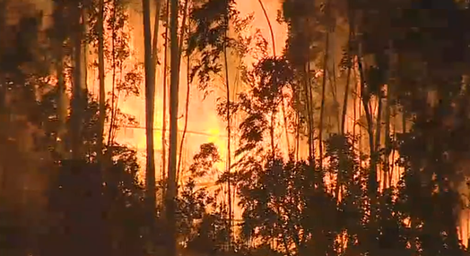 Incêndio florestal em Unhais da Serra
