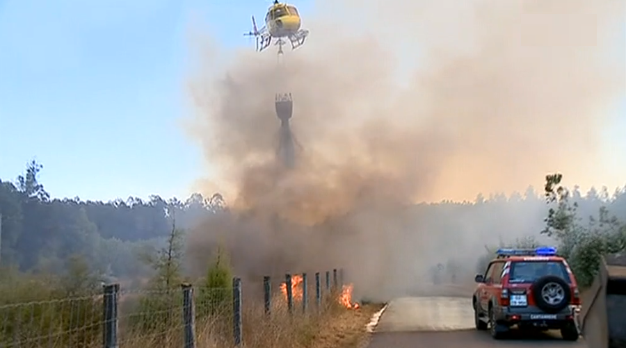Incêndio florestal na Mealhada