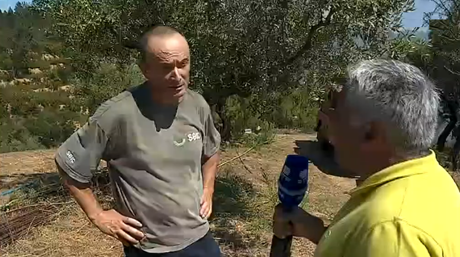 Incêndio florestal em Abrantes