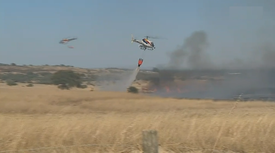 Incêndio florestal em Grândola