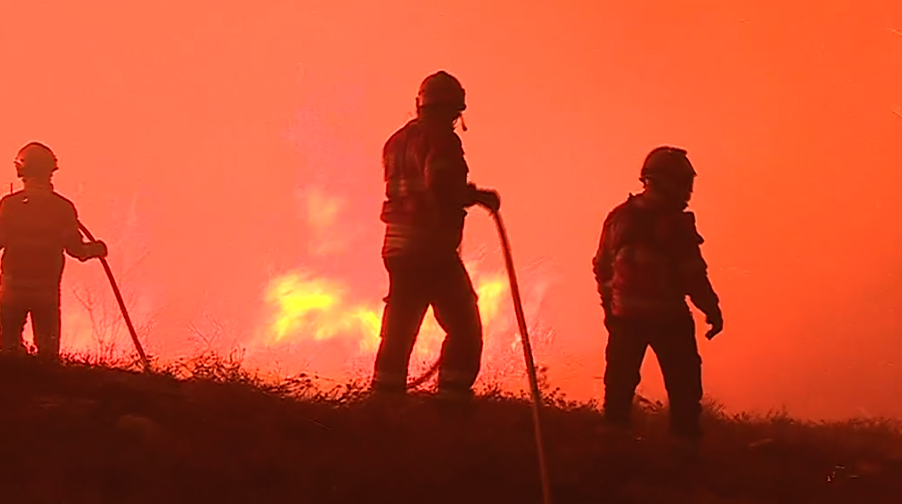 Incêndio florestal em Abrantes
