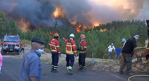 Incêndio florestal em Mação obriga a evacuar uma aldeia