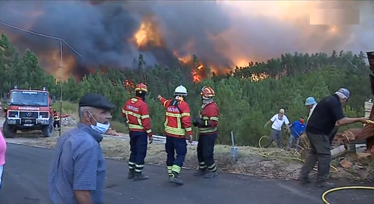 Incêndio florestal em Mação obriga a evacuar uma aldeia