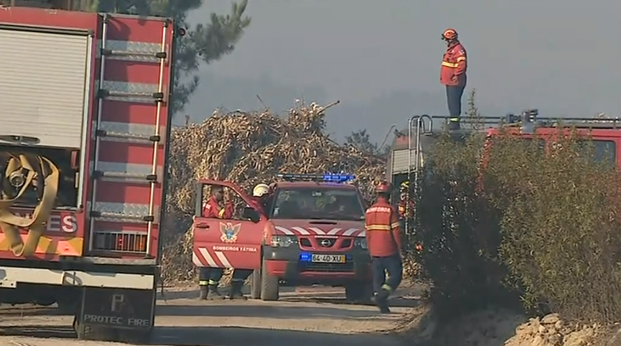 Incêndio florestal em Abrantes