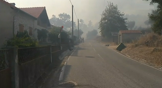 Incêndio florestal em Tábua