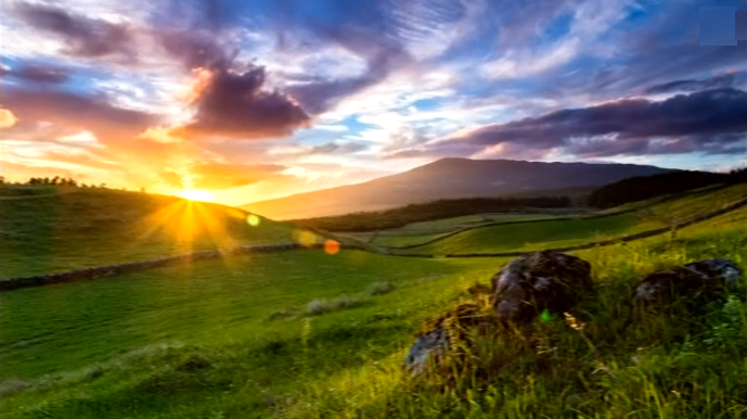Associação de Fotógrafos da Terceira