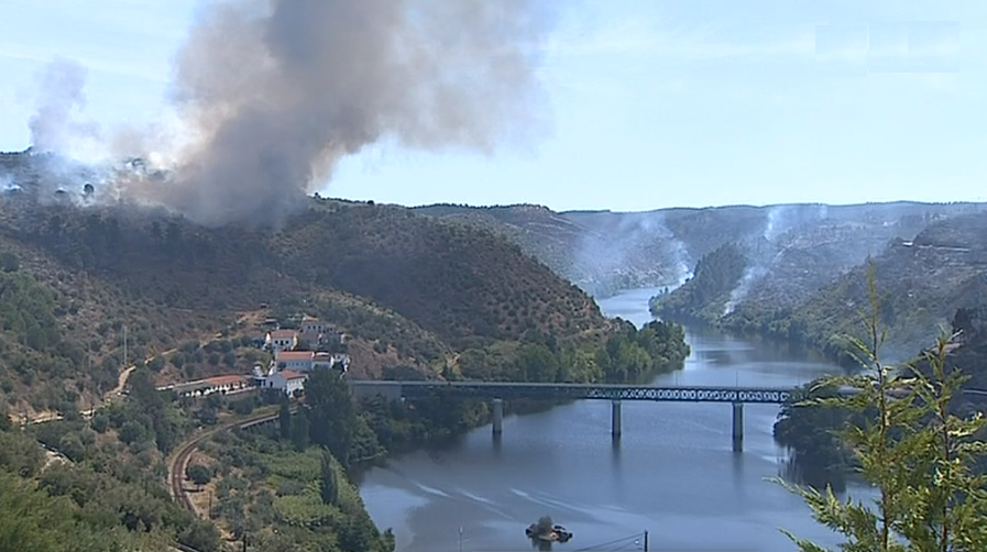 Incêndio florestal no Gavião