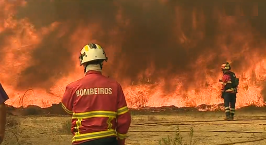 Incêndio florestal em Coimbra
