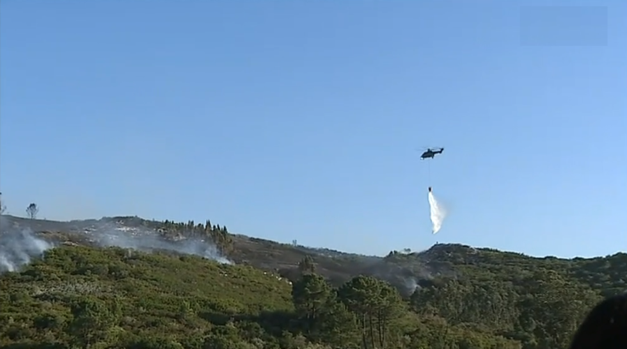 Incêndio florestal em Porto de Mós
