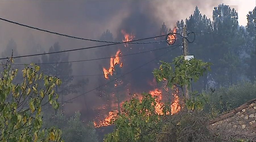 Incêndio florestal no Sardoal