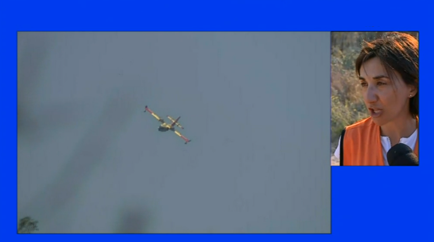 Incêndio florestal a norte de Abrantes