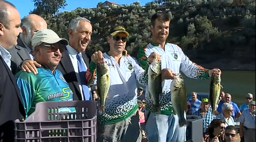 Tragédia de Pedrógão Grande