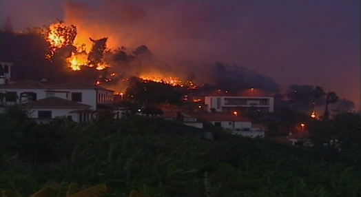Reconstrução de habitações na Madeira após incêndios